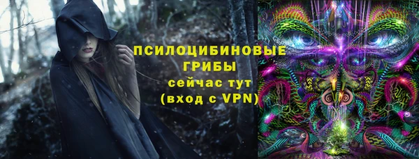 твердый Алексин