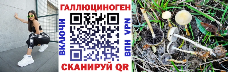 наркошоп  Бронницы  Галлюциногенные грибы MAGIC MUSHROOMS 