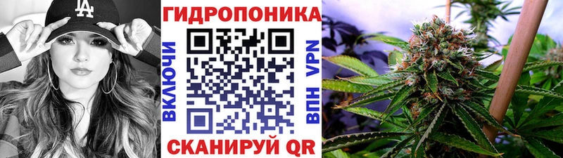 Бошки Шишки White Widow Бронницы